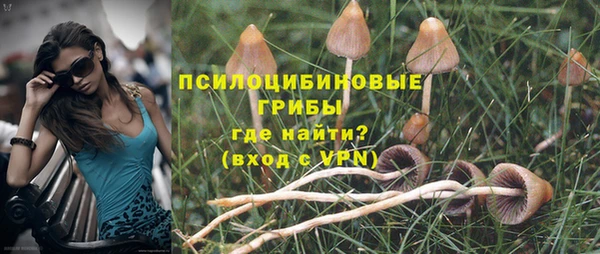 гашиш Нефтекумск