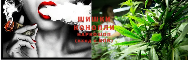 ГАЛЛЮЦИНОГЕННЫЕ ГРИБЫ Нея