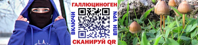 Галлюциногенные грибы Magic Shrooms  Тетюши 