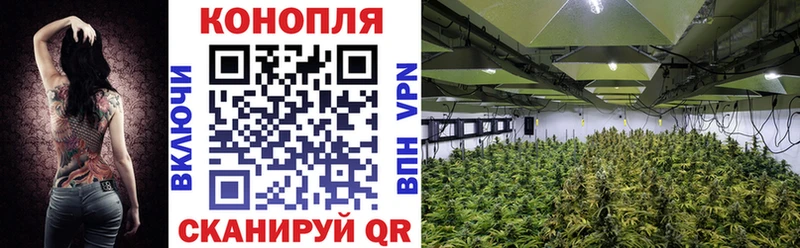 Бошки Шишки Ganja  Тетюши 